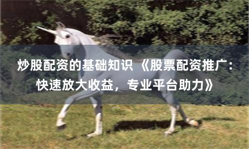 炒股配资的基础知识 《股票配资推广：快速放大收益，专业平台助力》