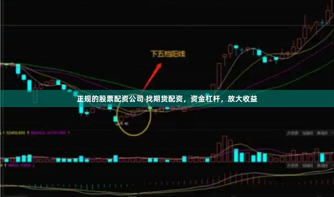 正规的股票配资公司 找期货配资，资金杠杆，放大收益